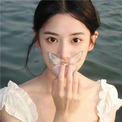 衣柜里的猫